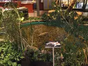 7. Eurostrand-Cup Fintel | Turnierbericht