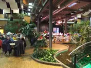 7. Eurostrand-Cup Fintel | Turnierbericht