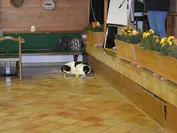 1. Lermoos | Turnierbericht | Backlog