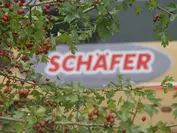 5. Große Herbstreise Skat, Rommé und Wandern | Turnierbericht 5. Große Herbstreise Skat, Rommé und Wandern | Turnierbericht