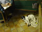 1. Lermoos | Turnierbericht | Backlog